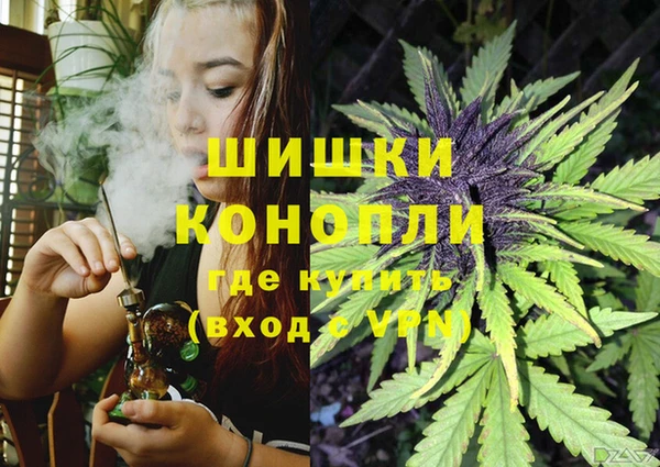 jwh Белокуриха