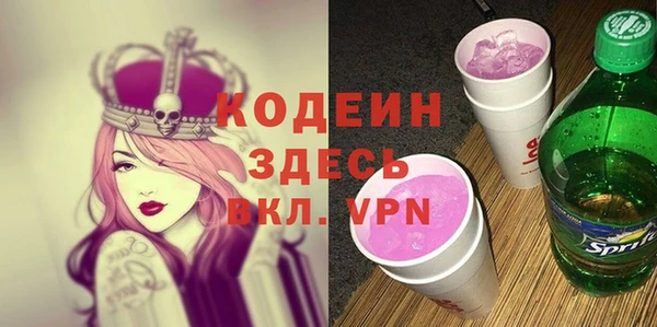мдпв Тобольск