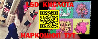 прущие грибы Малоярославец