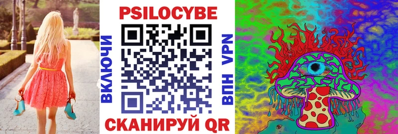 Псилоцибиновые грибы Psilocybine cubensis  Верхний Уфалей 