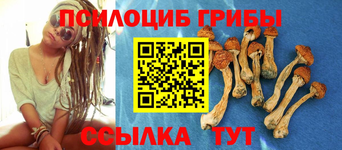 Псилоцибиновые грибы MAGIC MUSHROOMS  Псилоцибиновые грибы Psilocybe  Верхний Уфалей  Вход с VPN 